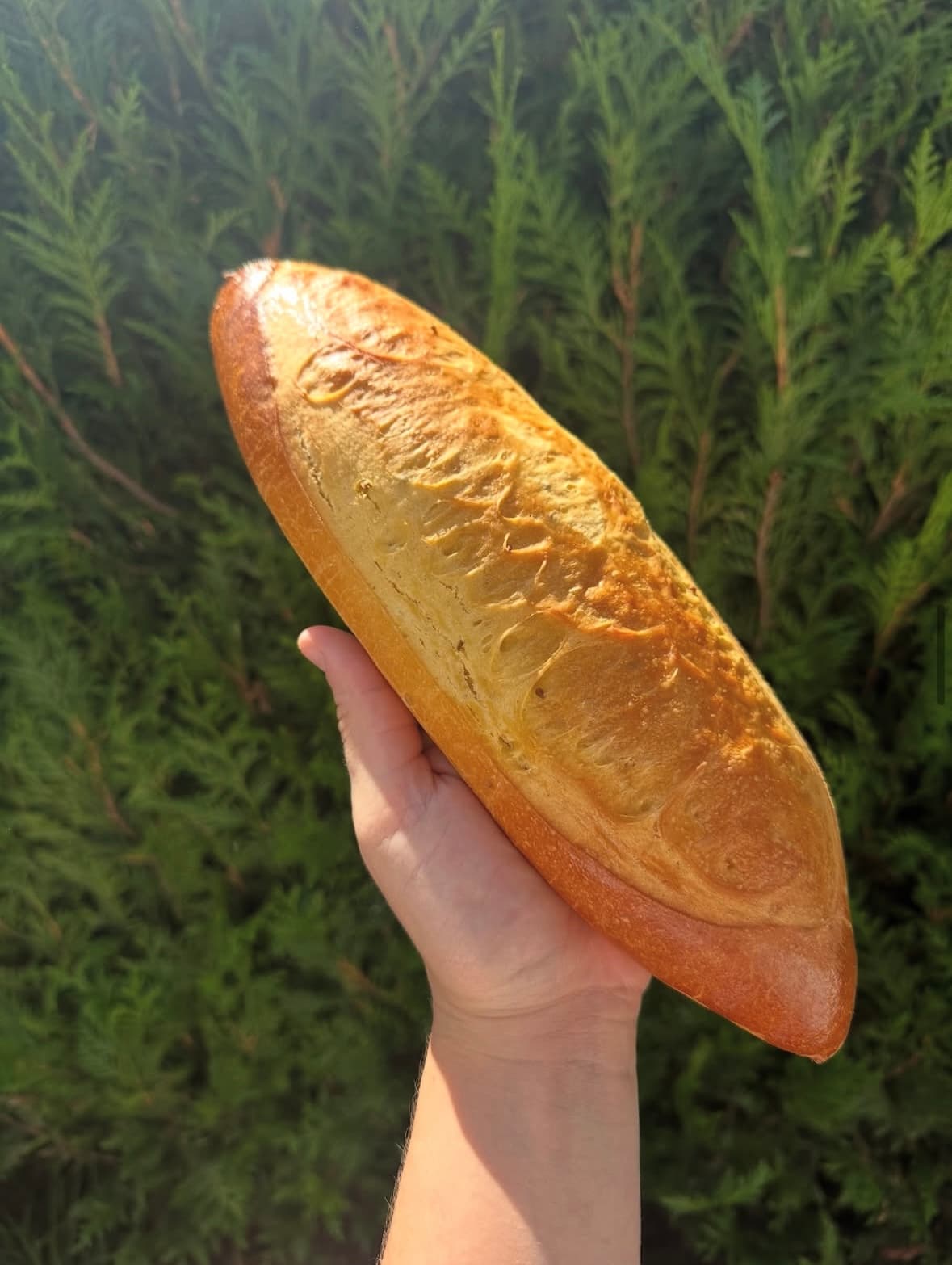 Brioche Bescoin — photo 1