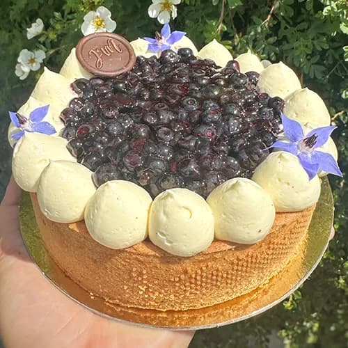 Tarte moderne Myrtille sauvage